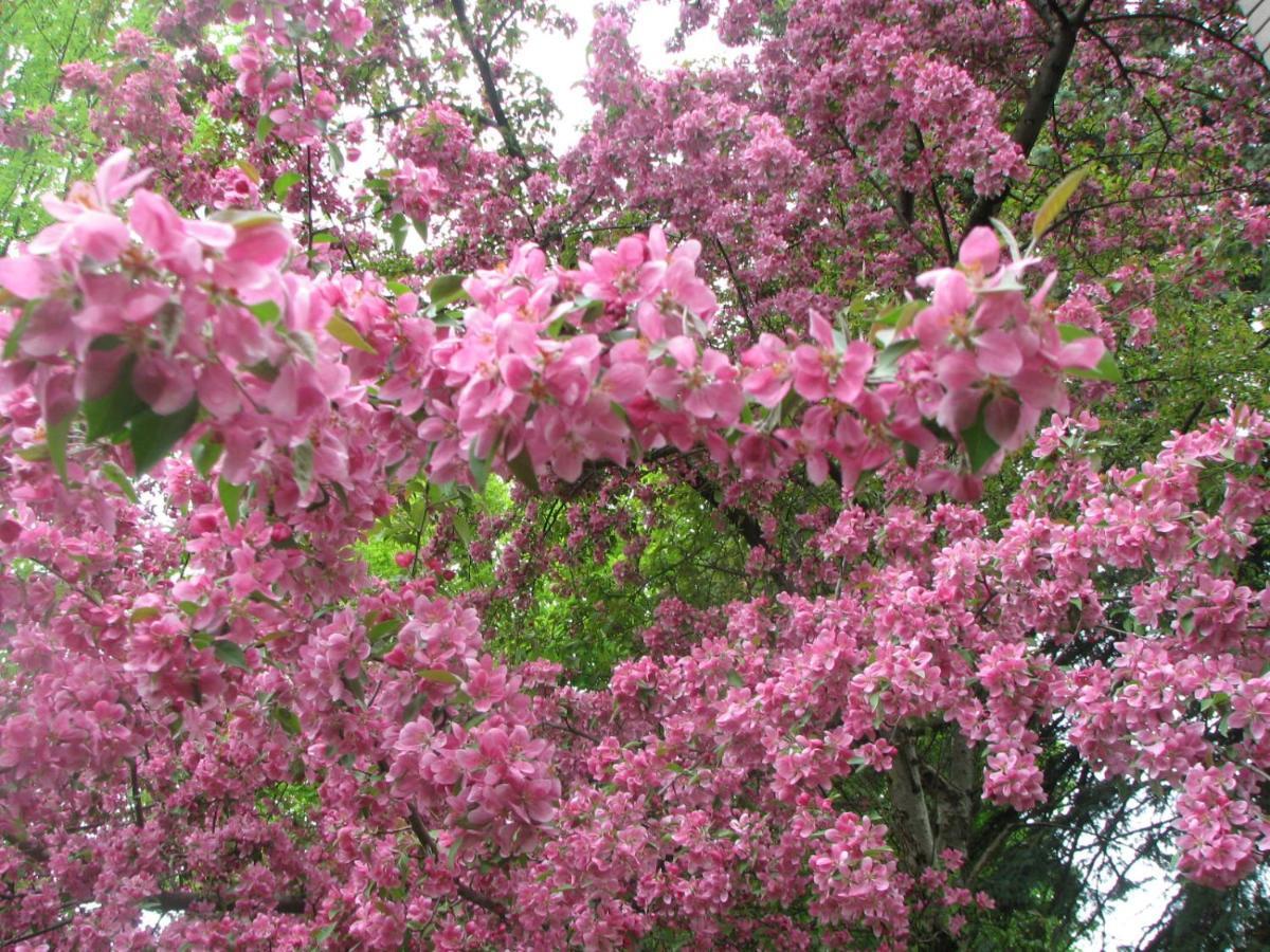 玛格罗莉亚住宿加早餐旅馆 格兰比 外观 照片